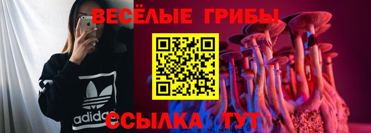 Галлюциногенные грибы мицелий  Галлюциногенные грибы MAGIC MUSHROOMS  Вход с VPN  Карпинск 
